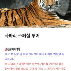 에버랜드 스페셜투어 팝니다