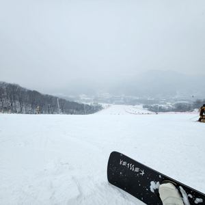 지산 스키 회원권 구합니당