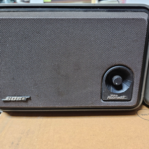 BOSE video roommate