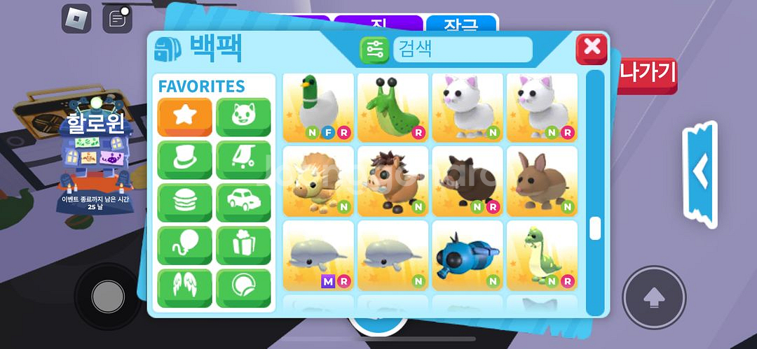 입양하세요 아이템--1