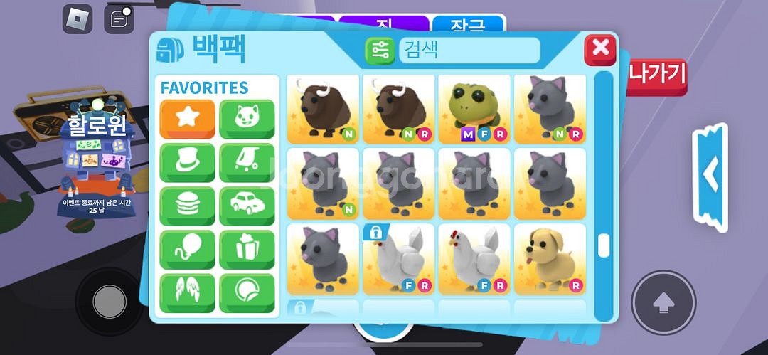 입양하세요 아이템--2