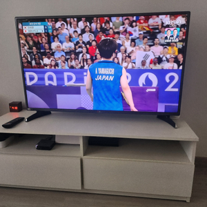 TV (LG 42인치)와 TV장