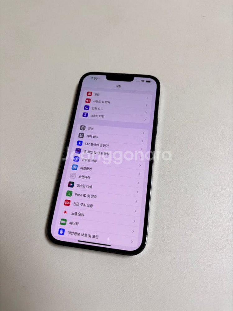 아이폰 13프로맥스 256기가 (자급제, 스그)--1