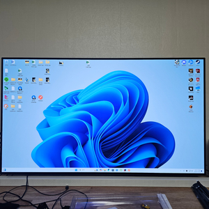 LG 48CX OLED 120hz 티비