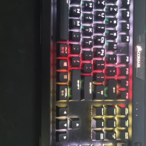 커세어 k70 rgb mk2 키보드 갈축