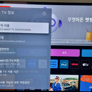 lg oled Evo 55g4 신품급 팝니다