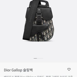 디올 Dior Gallop 슬링백