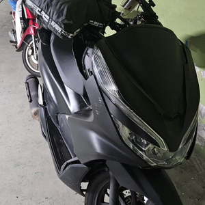 pcx 19년식