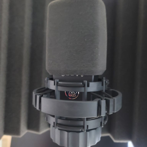 akg c414 xls (거의새상품) 1주됨