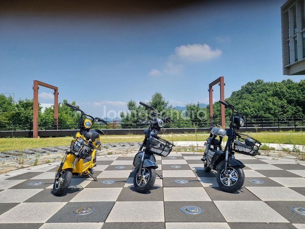 필립스 칠리 전기스쿠터 48V30A--9