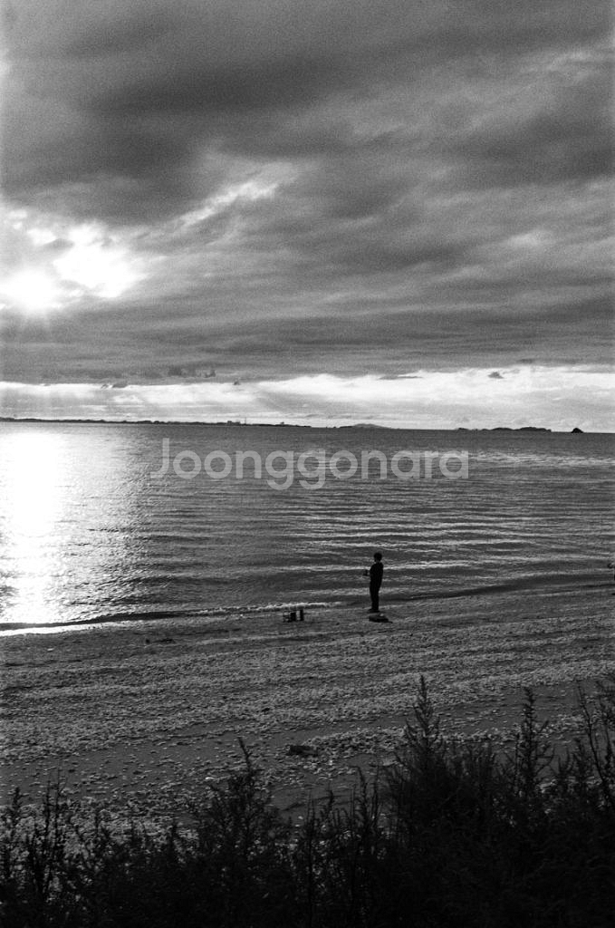 보이그랜더 녹턴 35mm f1.4 라이카 m마운트--5