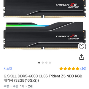 ddr5 지스킬 램