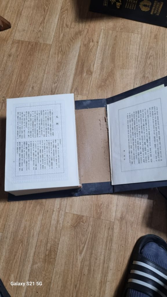 한한대사전1993년장삼식 이미지