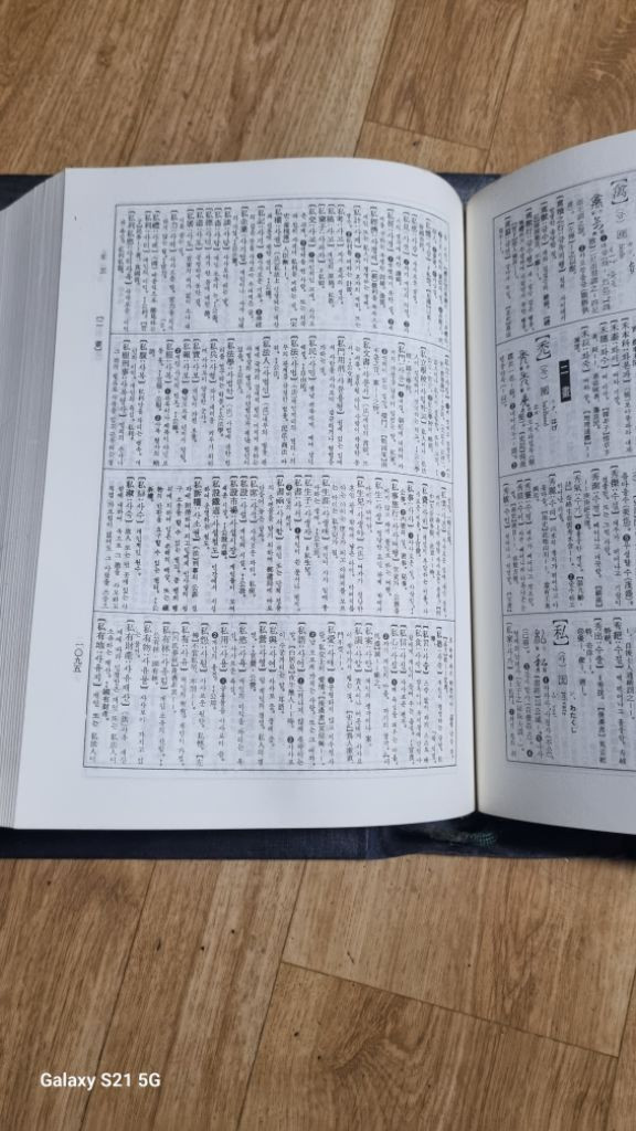 한한대사전1993년장삼식 이미지