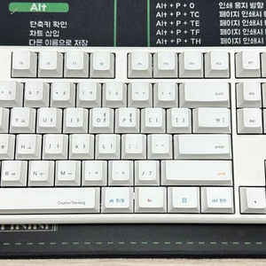 토체프 301 네온 화이트 비선토이 단순개봉