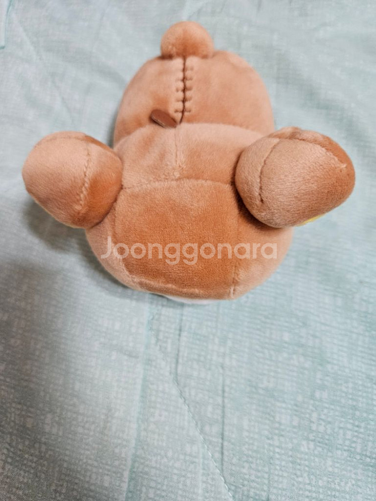 리락쿠마 모찌 인형--1