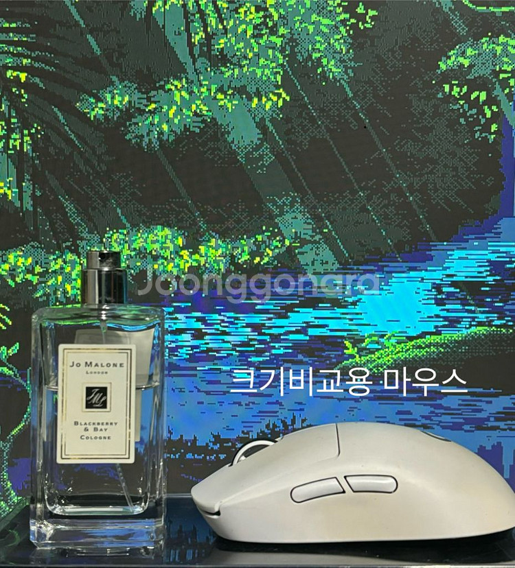 조말론 블랙베리--4
