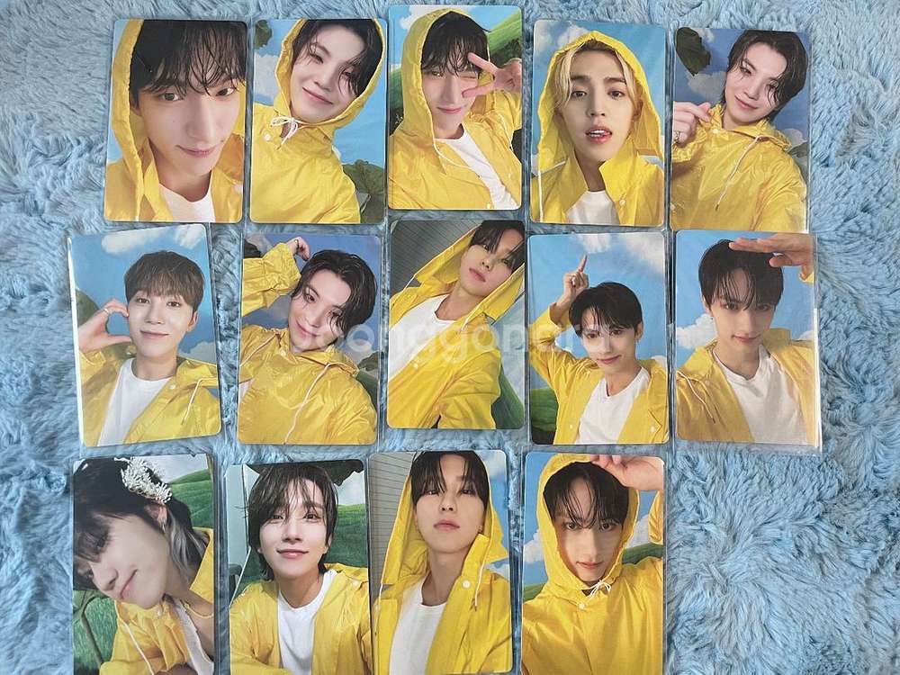 세븐틴 음악의신 포카 14장 일괄--0