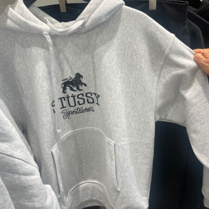 Stussy sportswear hoodie ash h