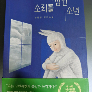 책 팝니다(소리를 삼킨 소년/부연정)