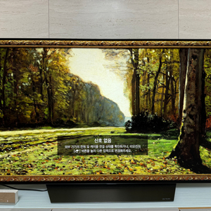 LG 4K OLED 55인치 TV