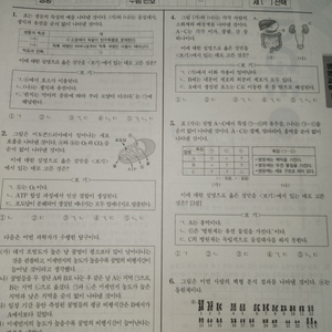 2025시대인재 브릿지 브릿지 전국 유니온 생명모의고사