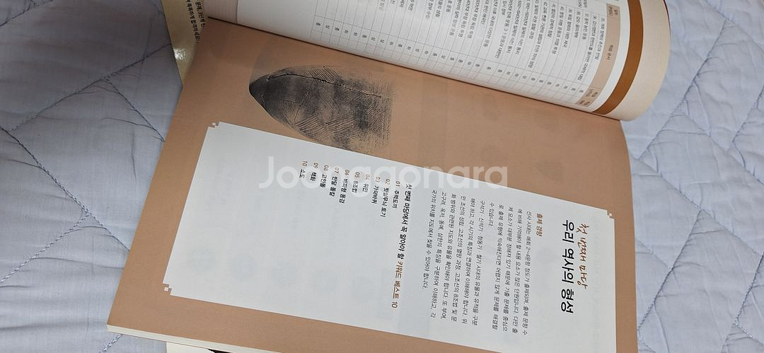 한국사능력시험 등 최태성의한국사책--9