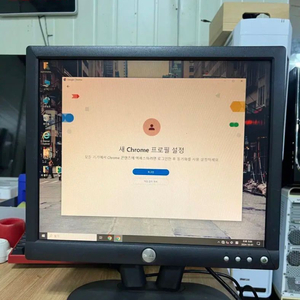 델 17인치 골동품 모니터