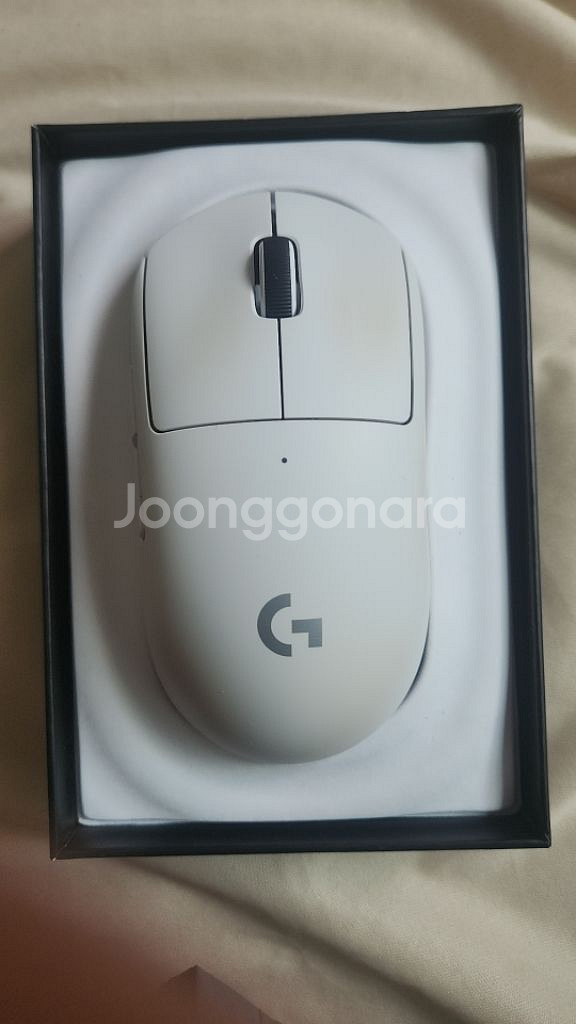 지슈라2 화이트--0