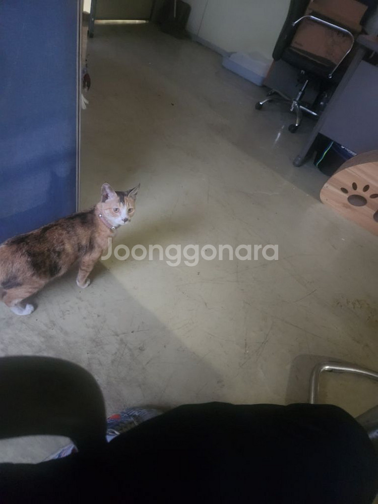 원스토어 무제한 쿠폰50% 삽니다--0