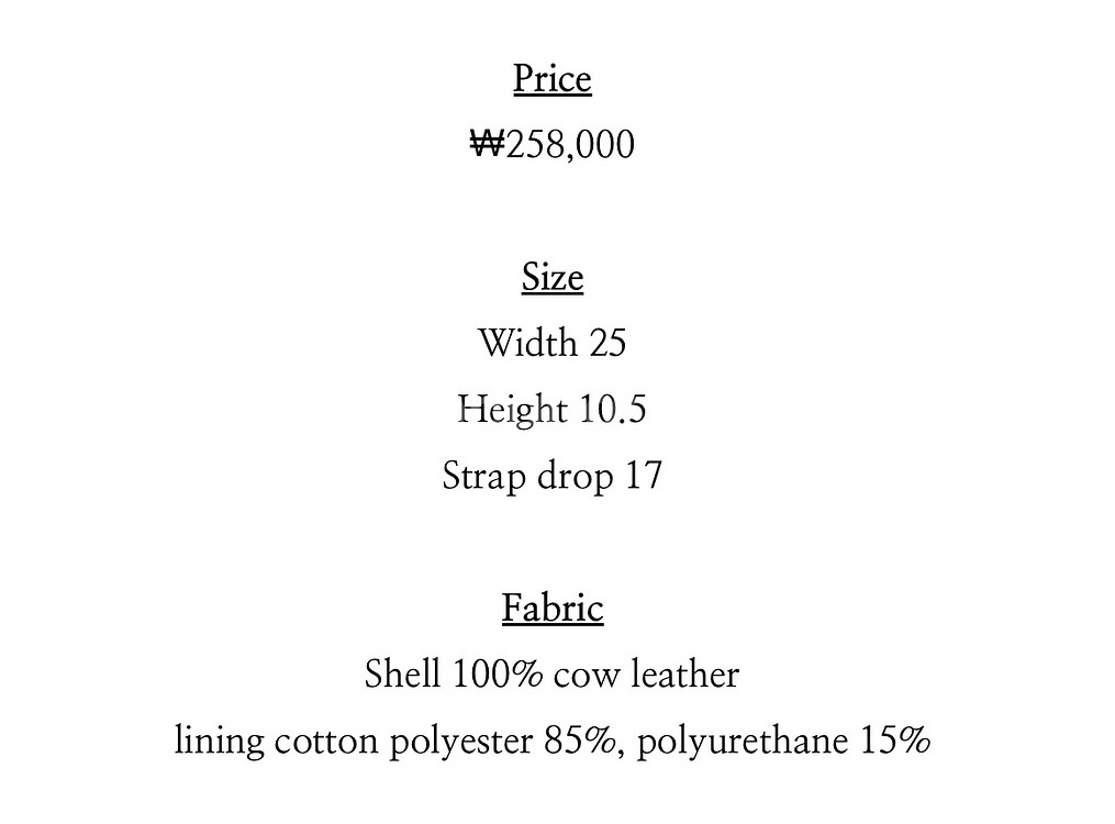 [Osoi] shoulder brocle bag--2
