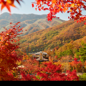 화담숲 입장권 예매권