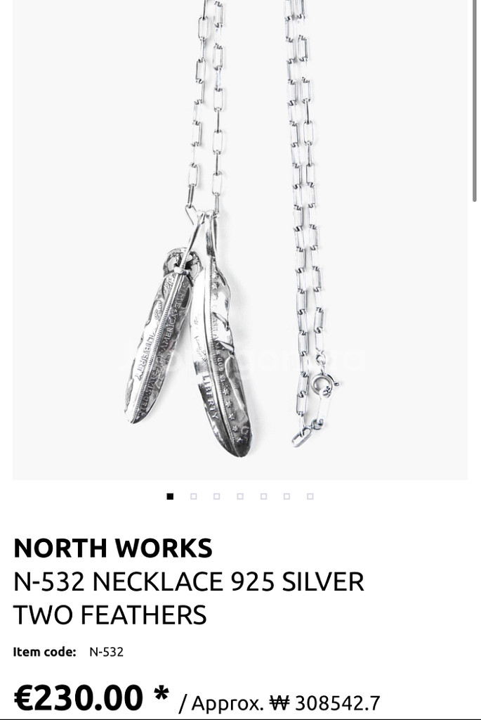 North works 노스웍스 더블 페더 목걸이--1
