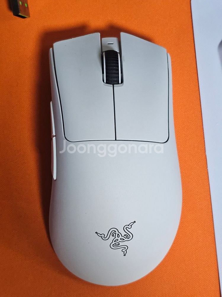 레이저 데스에더 v3 pro--1