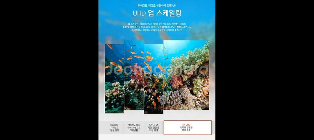 최신 65인치 4K UHD TV 특가한정판매 !--1