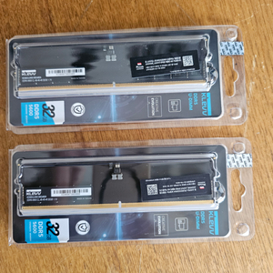 DDR5 32GB 2개