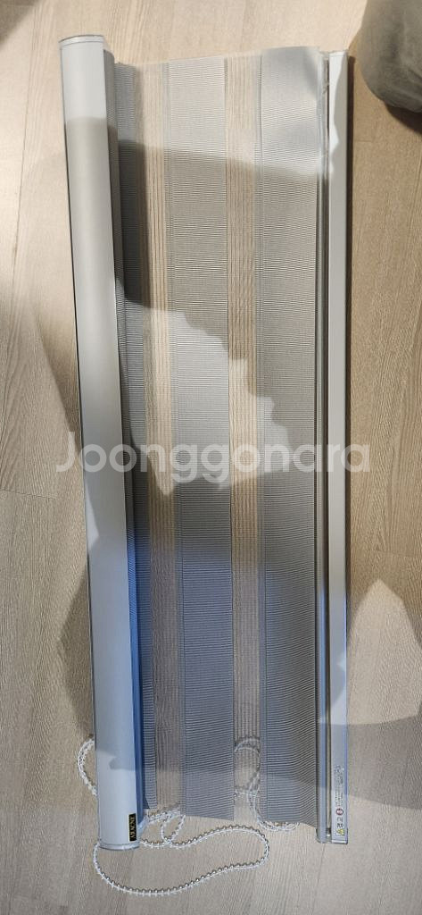아라크네 블라인드--1