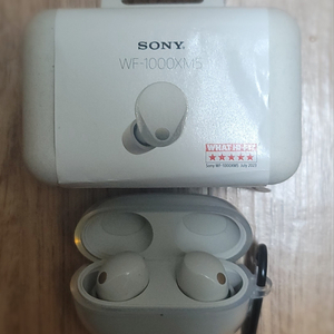 소니 Sony WF-1000XM5