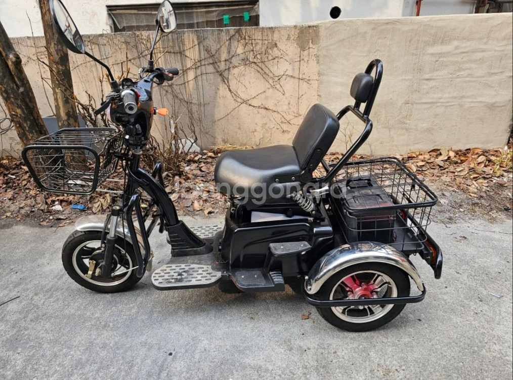 삼발이 스쿠터 48V30A 리튬이온 배터리--1