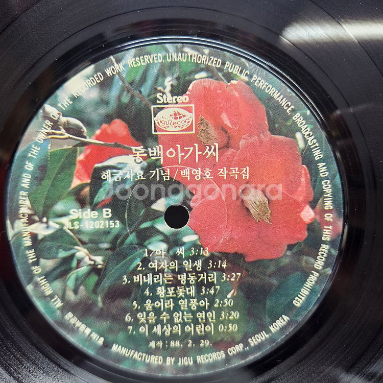 동백아가씨--3