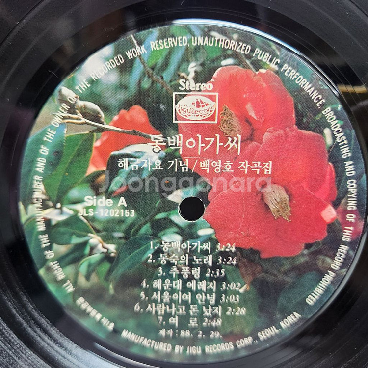 동백아가씨--6