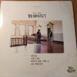 LP 89해바라기