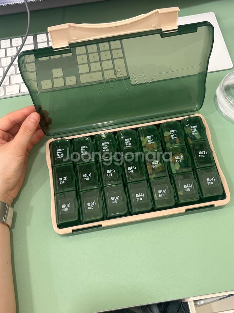일주일 약통--1