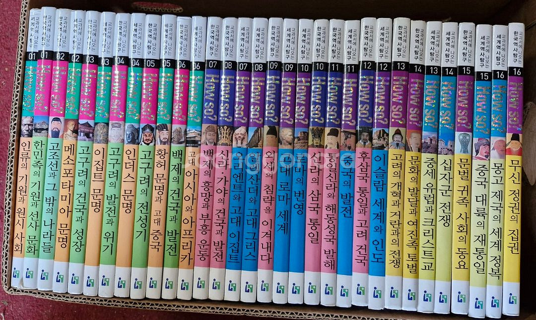 HOW SO (세계역사탐구/80권)--1