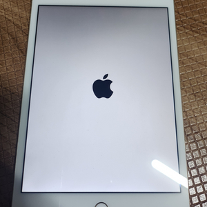 iPad mini 4