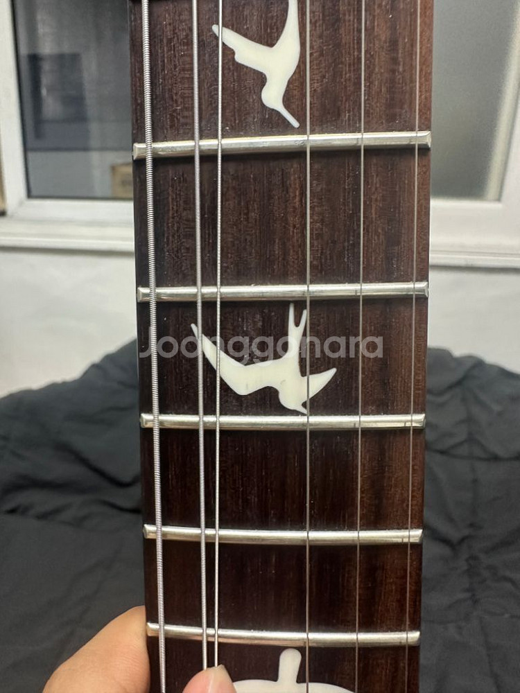 prs ce24 egyptian gold--8