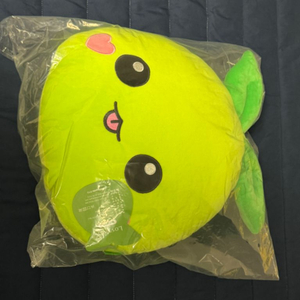 모코코 말랑쿠션