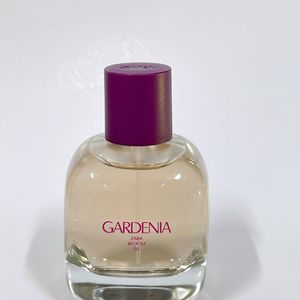 자라향수 가드니아 90ml