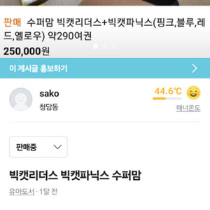 빅캣리더스