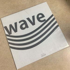 (LP) Wave to Earth